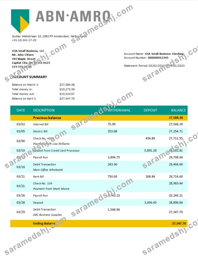 ABN Amro Bank company checking account statement Word and PDF template